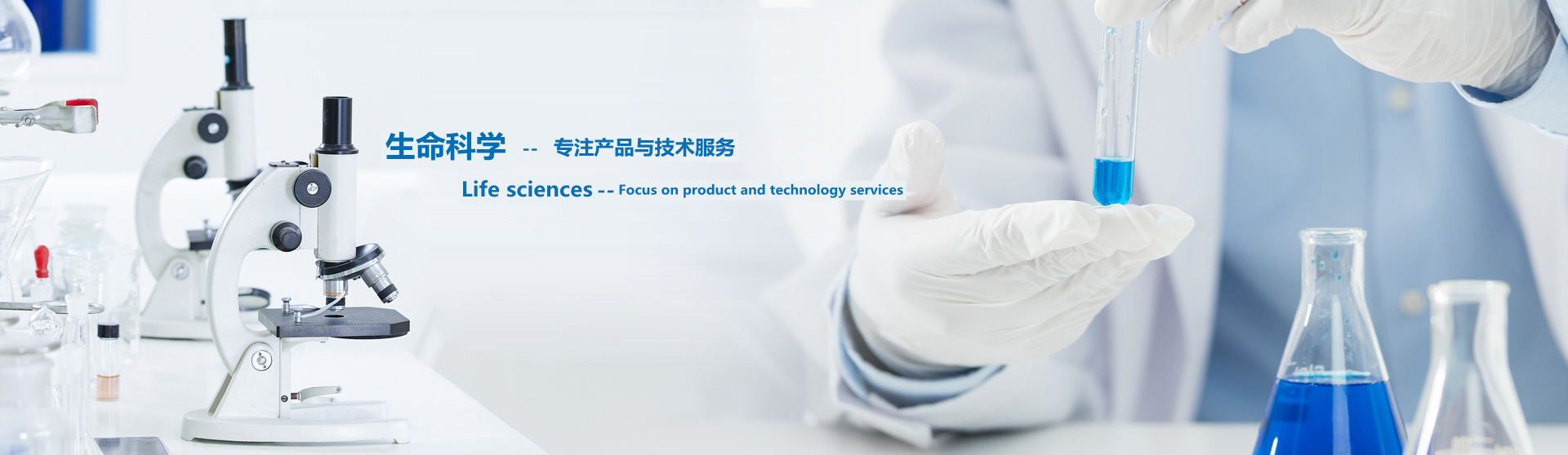 图片展示